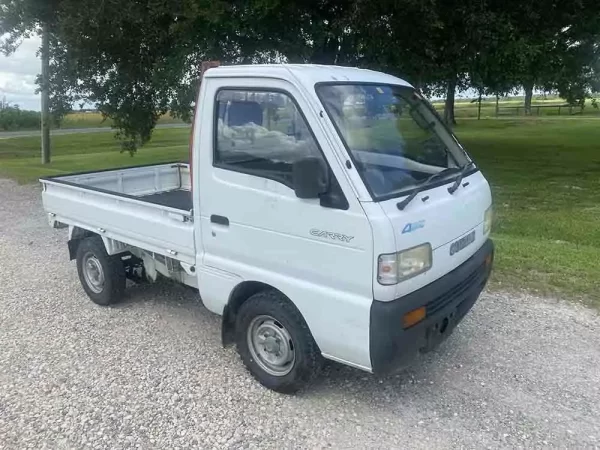 Suzuki Carry Mini Truck 1991 For Sale