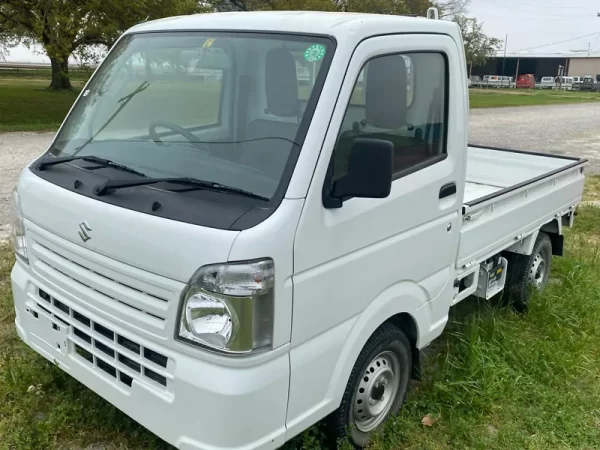 Suzuki Mini Truck 2018 For Sale